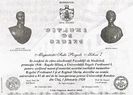 Diploma conferita M.S. Regele Mihai I
