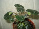 DSC07640