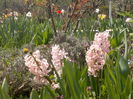 2014-04-09ultimile zambile
