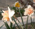 2014-04-09