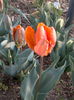 2014-04-09-3944