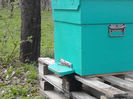 IMG_20140409_135515