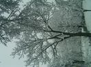 IMAG0606
