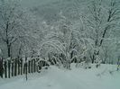 IMAG0618