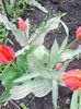 IMG_20140411_153244