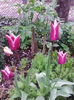 IMG_20140411_153755