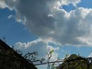 DSCN6141