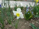 DSC06040