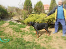 DSCN1252