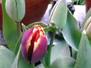 20140412_152154