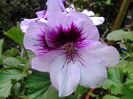 20140412_152259