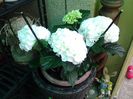 20140412_152516