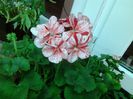 20140412_152556