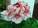 20140412_152604