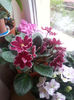 20140412_145702
