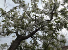 DSCF6500