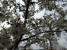 DSCF6507