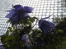 DSCF6518