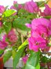 DSC07728