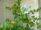 DSC07735