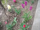 DSCN7161