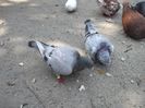 DSCF5104