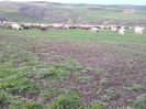 IMG_20140406_184807