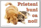 Prieteni buni