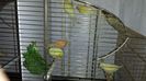 20140413_123919[1]