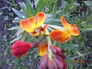 DSCN4639
