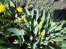 DSCN4658