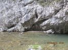 IMG_3782