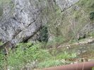 IMG_3788