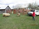 IMG_2288