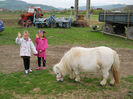 calarie Gherla 13.04.2014 004