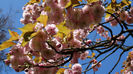 2014_04120416