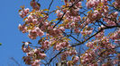 2014_04120417