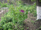 Picture 2754