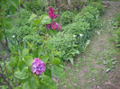 Picture 2763