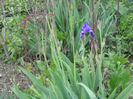 Picture 2764