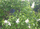 Picture 2769