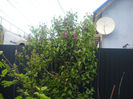 Picture 2770