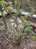 DSC02683
