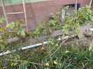DSC02688