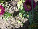 DSC02696