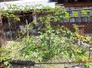 DSC02716