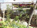 DSC02717