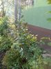 DSC02741