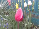 20140413_174523