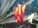 20140413_174546
